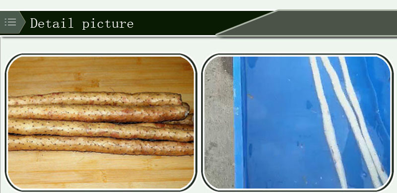 yam peeling machine 1