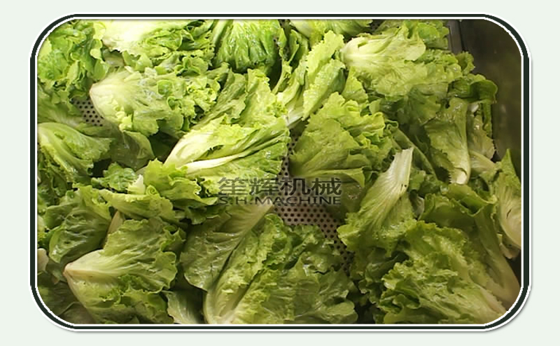 ozone vegetable washer-vegetable washing machine