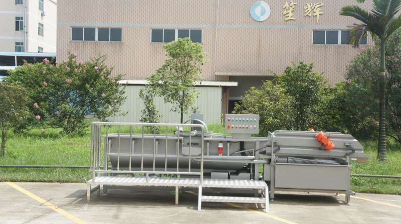 leafy vegetable washing machine