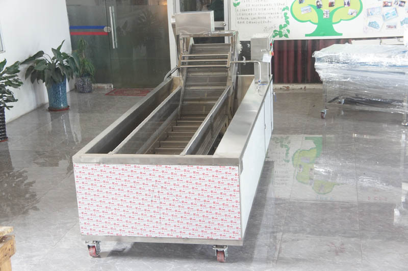 vegetable washing equipment