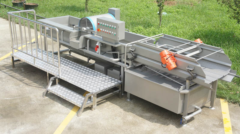 industrial vegetable washer