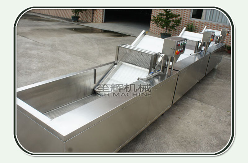 fruit processing-vegetable washing machine