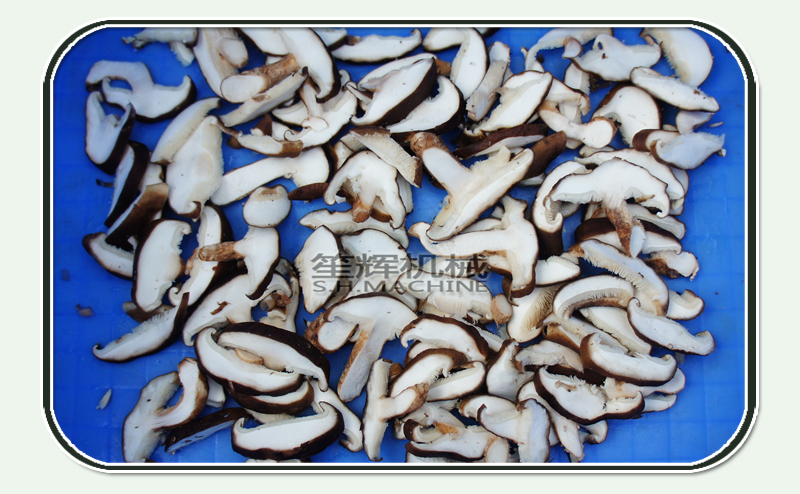 automatic vegetable cutter 1-food machine-vegetable cutting machine