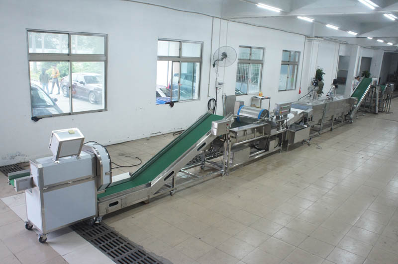 Introduction of leek green-killing production line