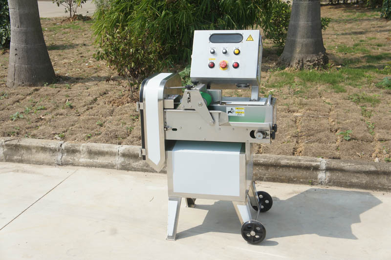 Introduction of Taiwanese Vegetable Cutting Machine