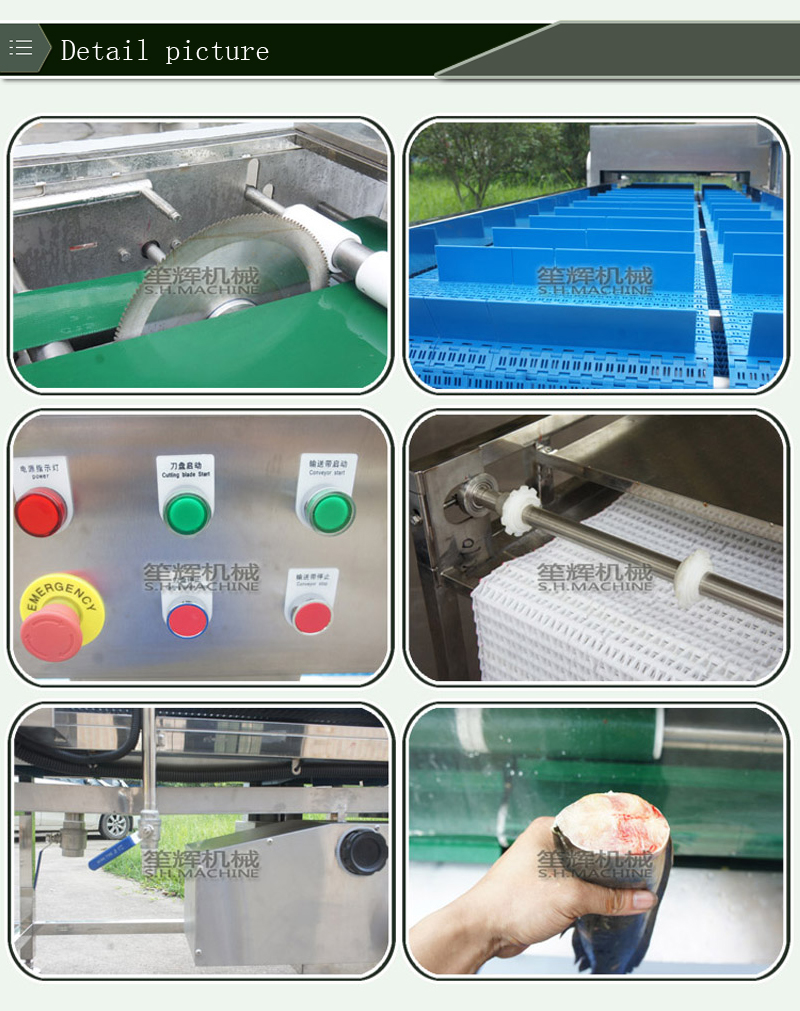 fish cutting machine price-food machine-shenghui-fish cutting machine