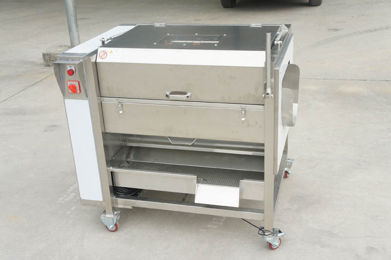 Fruit Cleaner Saves Processes and Increases Benefits