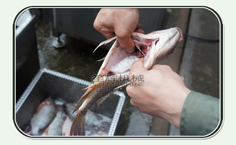 fish production-food machine-fish machine