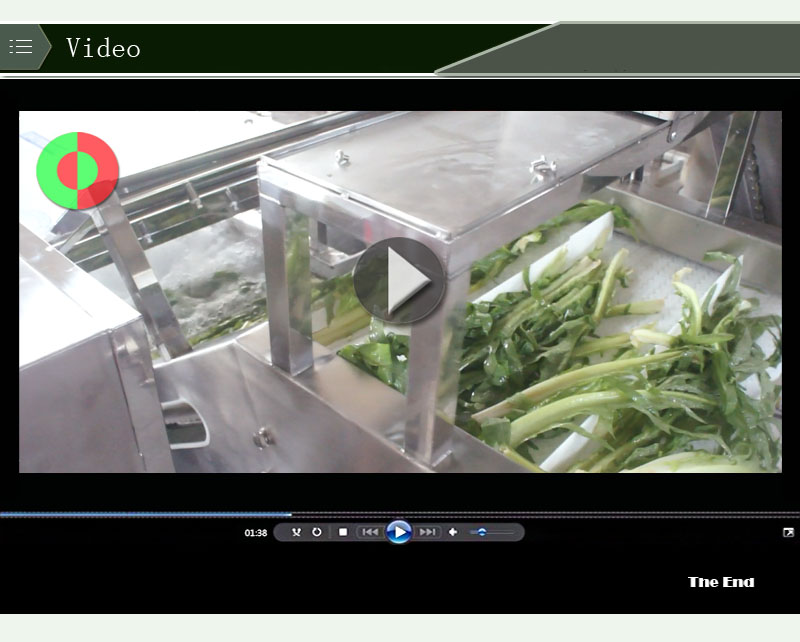 lettuce washing machine-food machine-washing machine-shenghui