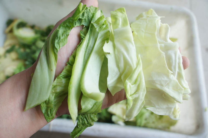 vegetable cutting machine