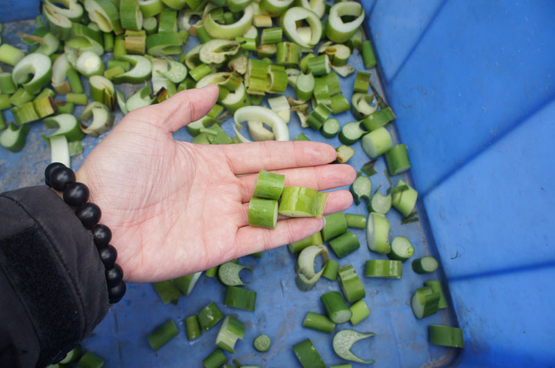 Introduction of Multifunctional Vegetable Cutter