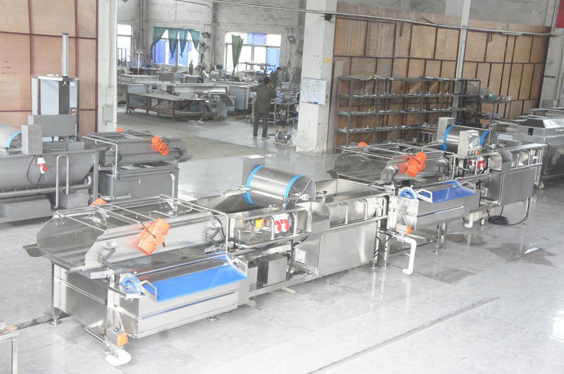 fruit and vegetable processing equipment