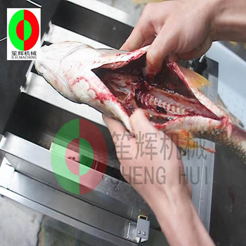 fish killing machine