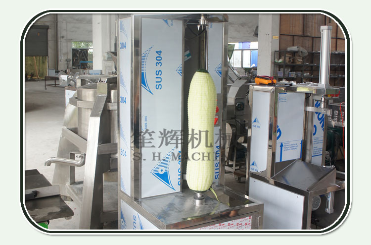 Introduction of peeling machine and production company