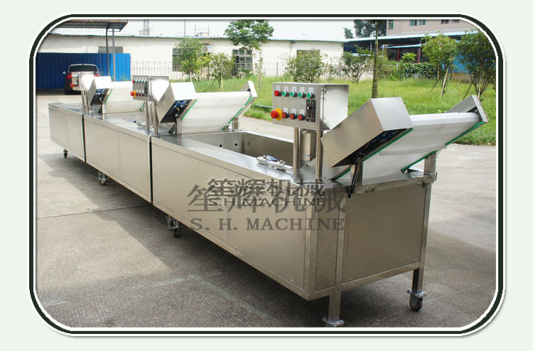 vegetable washing machine price