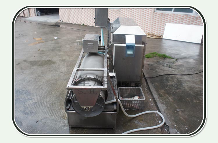 fish food processing equipment
