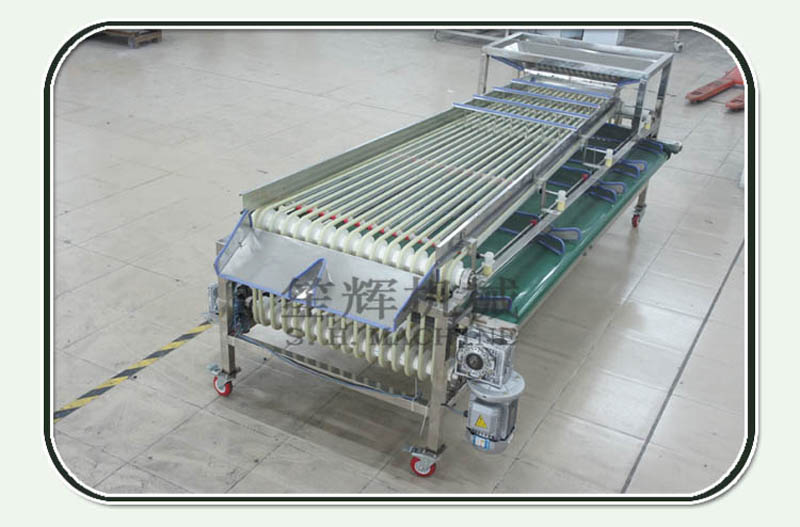 food processing production