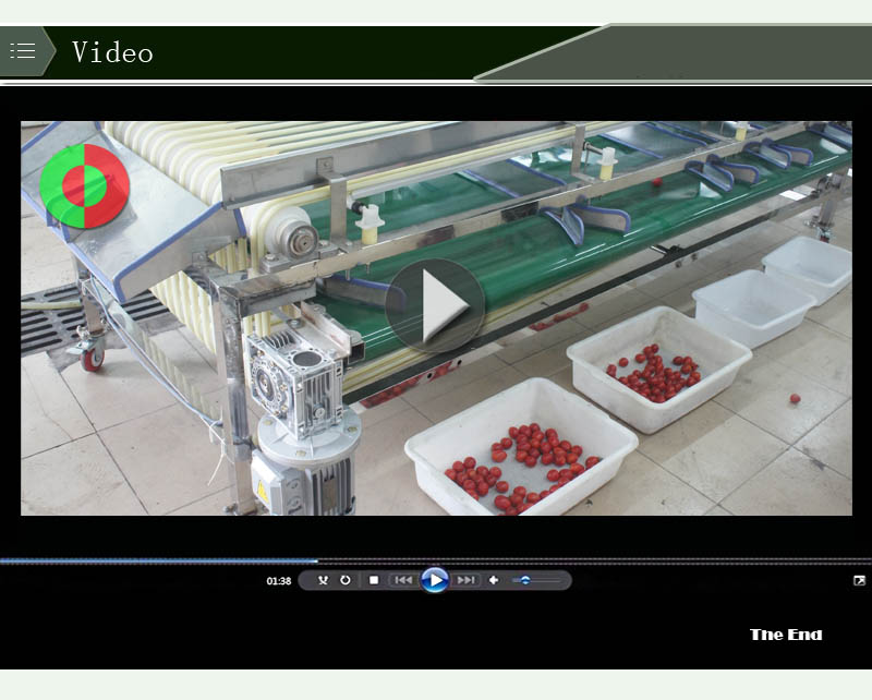vegetable sorting machine1