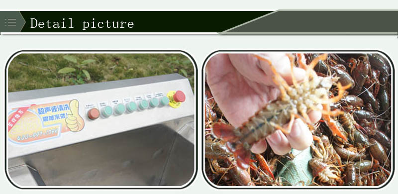 fish processing machine