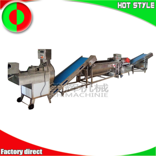 Pepper chilli processing equipment