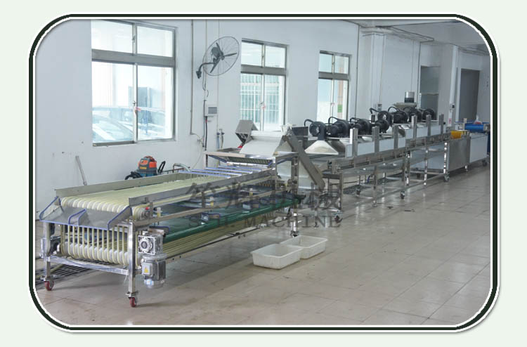 fruit sorting machine