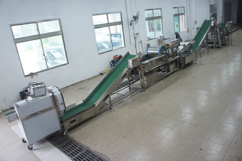 vegetable wash line