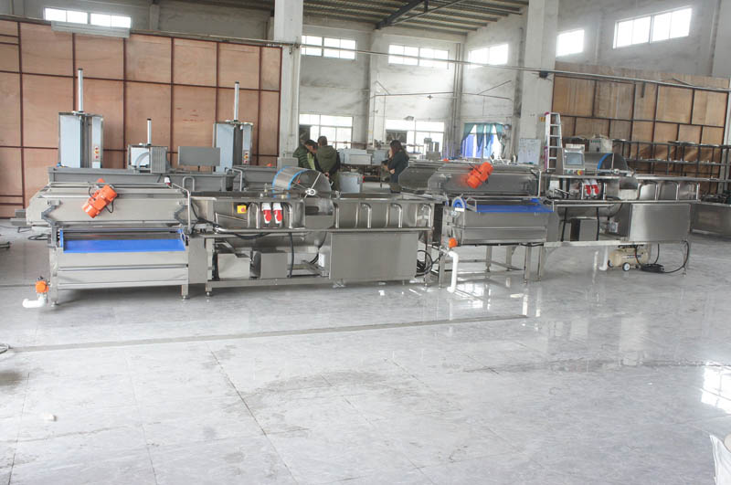 ozone fruit and vegetable washer