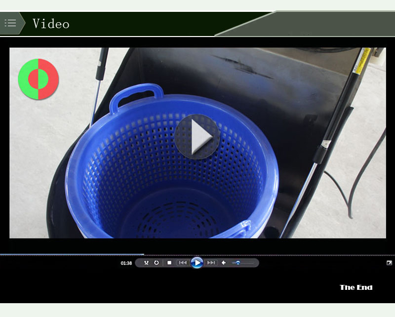 dehydrated onions-food machine-fruit dehydrator