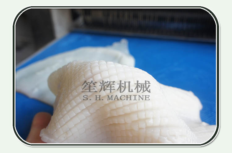 automatic fish scaler