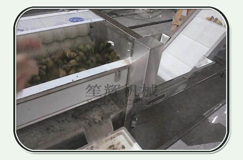 Noriko processing Line 1