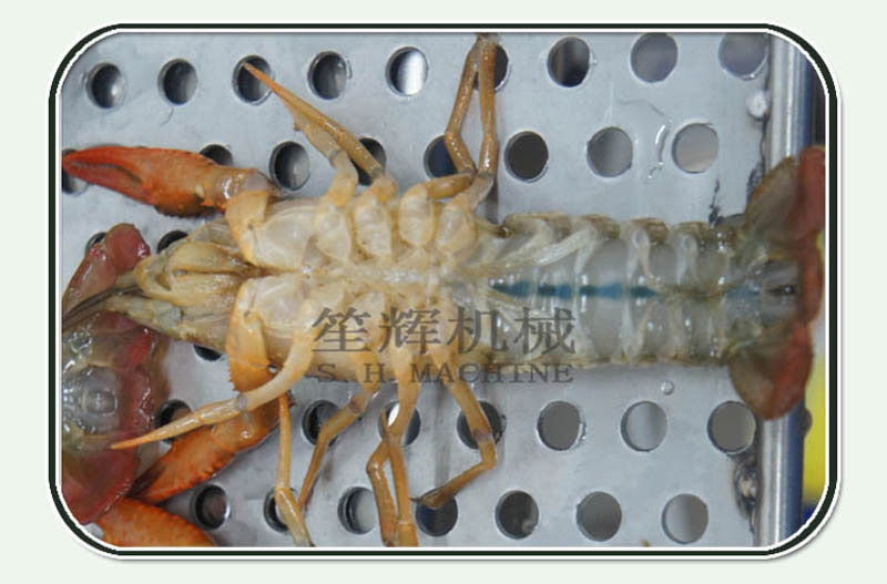 Crayfish washing machine