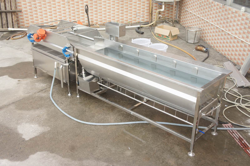 fruit and vegetable processing companies