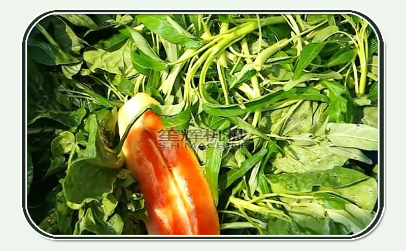 fruit and vegetable washer machine-vegetable washing machine