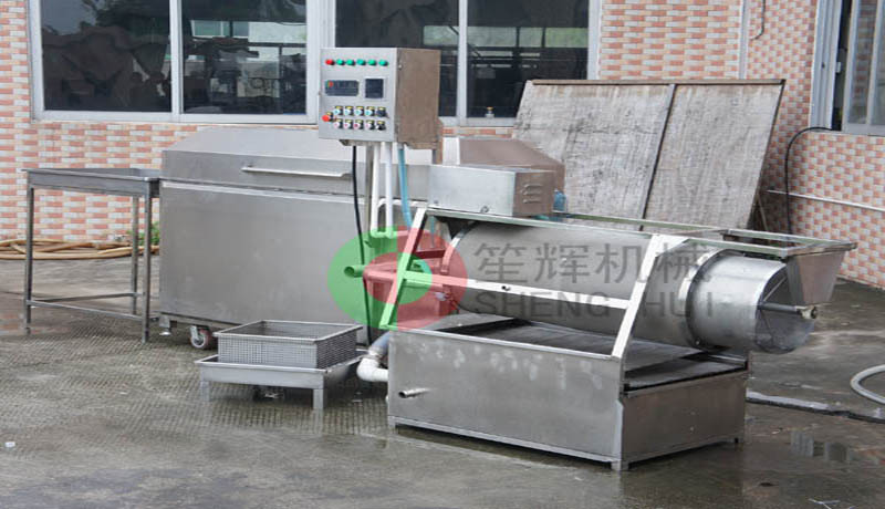 fish cleaning machine