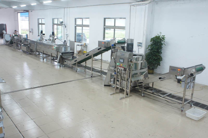 fruit processing machine