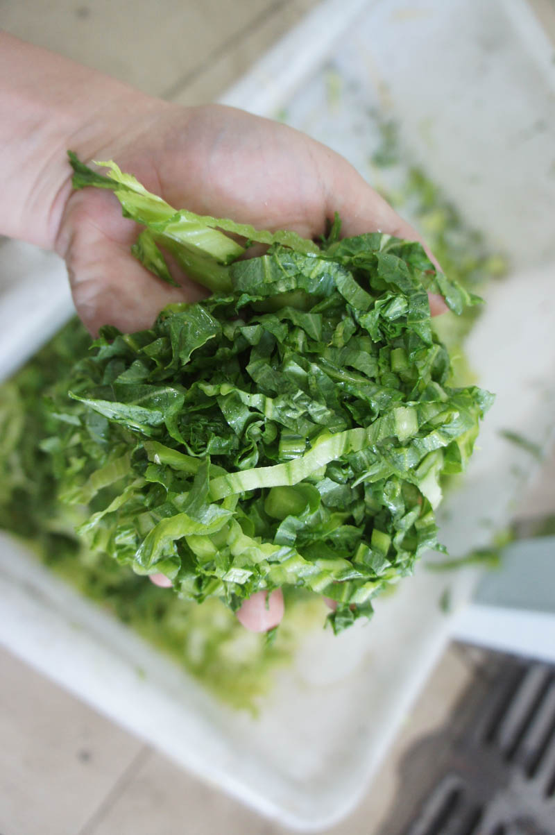 vegetable cutting machine