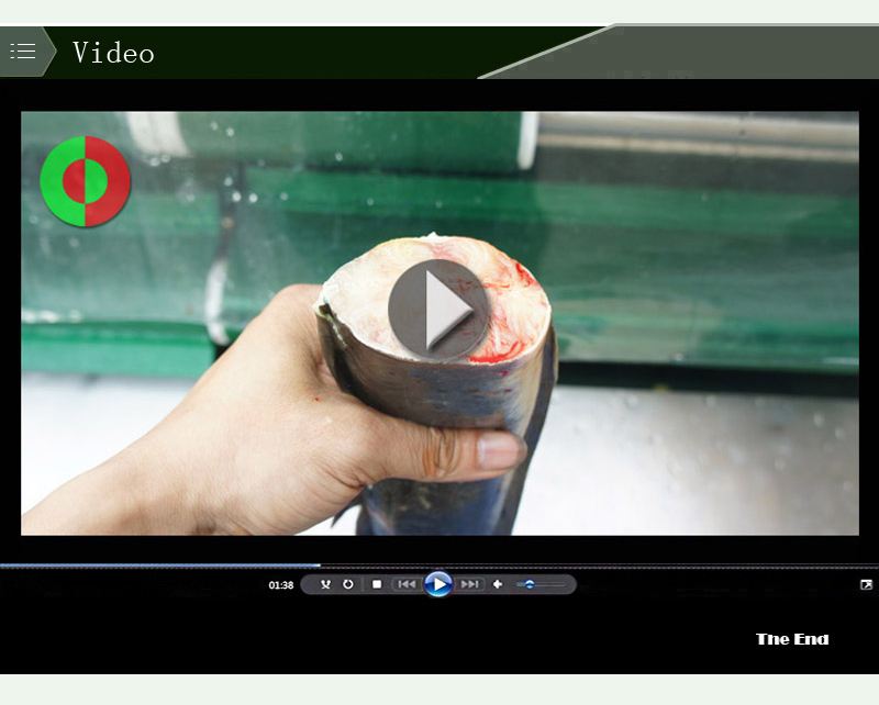 fish cutting machine-food machine-shenghui-fish cutting machine