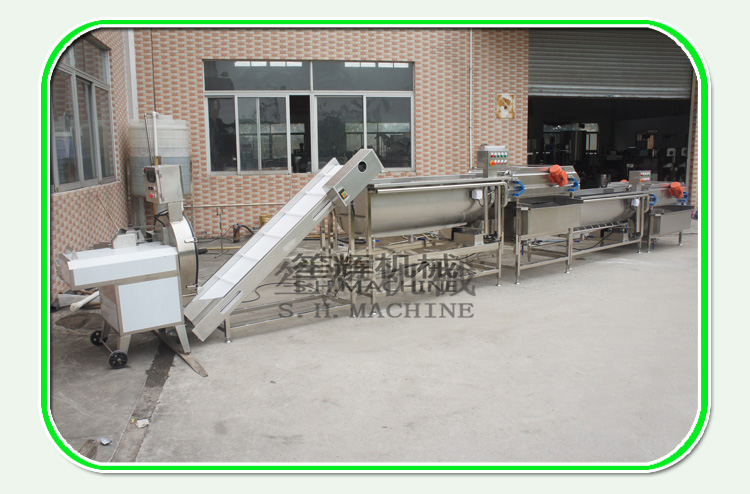 leafy vegetable washing machine