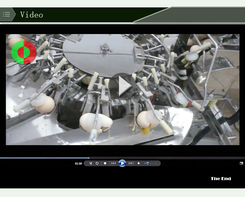 egg separator1-food machine-shenghui-egg breaking machine