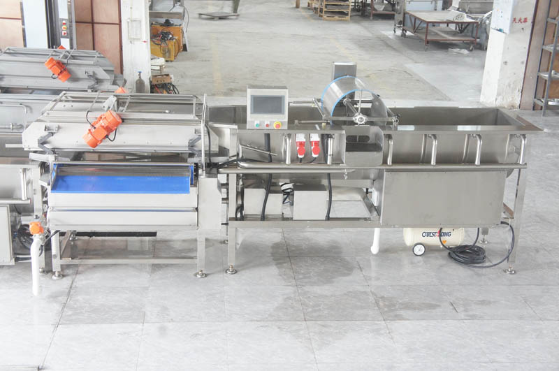 fruit processing equipment