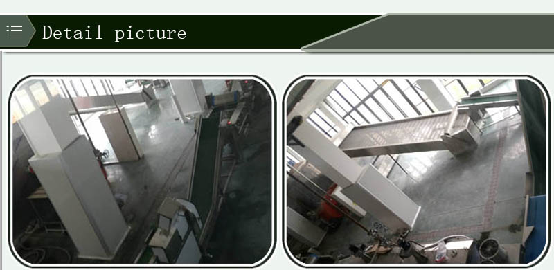 Leek Production Line 1