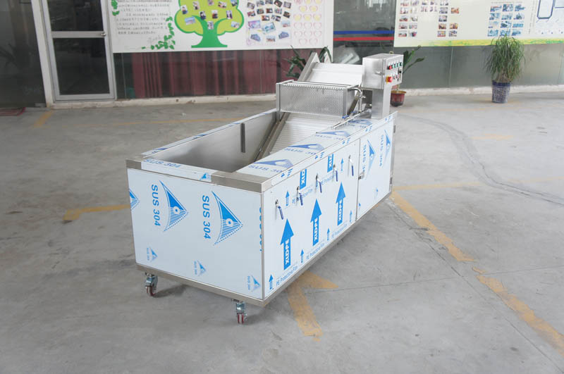 ozone vegetable washer