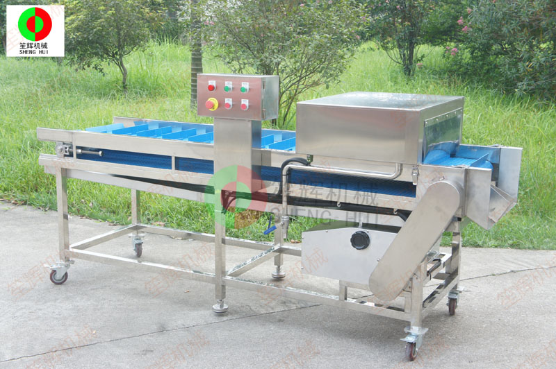 fish scaling equipment