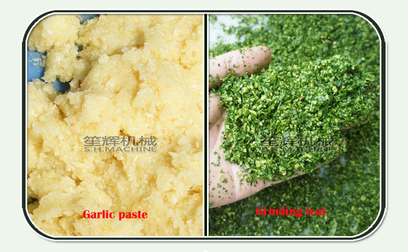 vegetable chopper-vegetable cutting machine