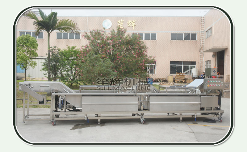Automatic ozone air bubble fruit and vegetable washer for sale-food machine-washing machine
