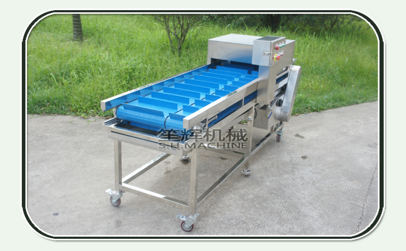 small fish cutting machine-food machine-shenghui-fish cutting machine