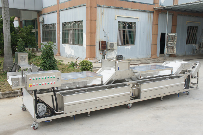 vegetable washing machine