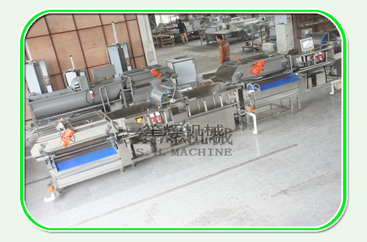 vegetable processing equipment