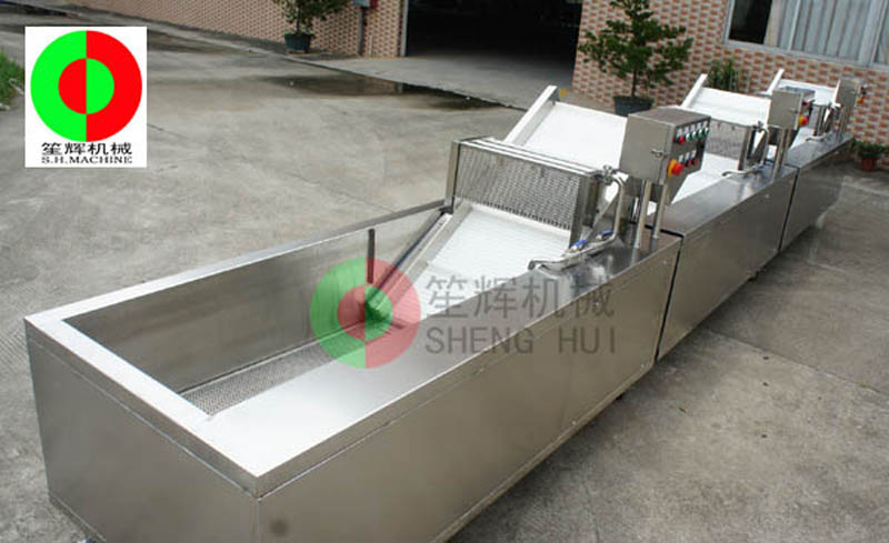 fruit and vegetable washer machine