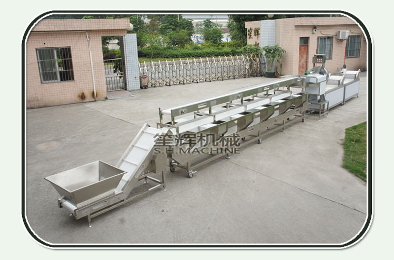 fruit and vegetable processing machine-sorting production line